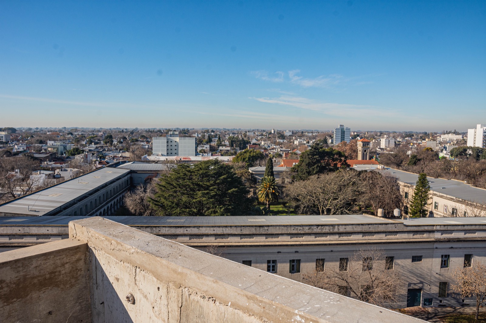Vista desde D74 hacia la arboleda y los edificios institucionales del centro de La Plata